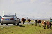 �ຣ��ţȺ����·