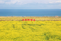 �ຣ���Ͳ˻�