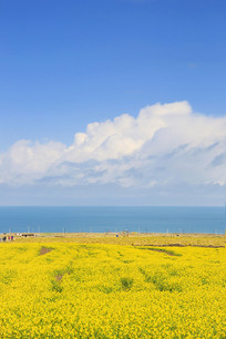 �ຣ���Ͳ˻�����