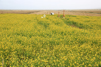 �ຣ���Ͳ˻���԰