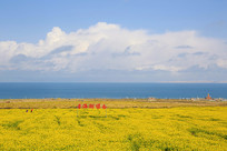 �ຣ�����Ͳ˻�����