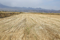 ���պ������ɽ����