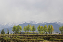 ���պ������ɽ����