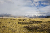 ѩɽ�ݵ������������ɽ����