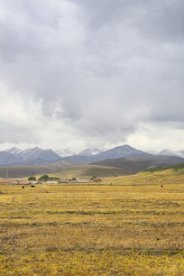 ѩɽ�µĲ�����ɫ