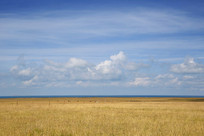 ���������ԭ