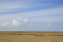 ����������ԭ