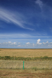 �����µĸ�ԭ����