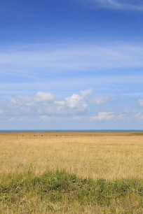 �����µ��ຣ����ԭ