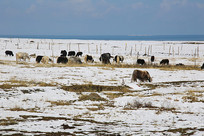 �ຣ��������ţ