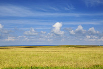 �ຣ�������ԭ���