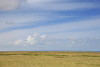 �ຣ������