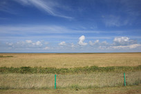 �ຣ������ݳ�