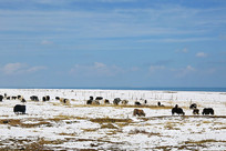 �ຣ���Ե���ţ