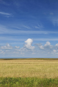 �ຣ���������ԭ