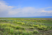 �ຣ������ɫ�ݳ�