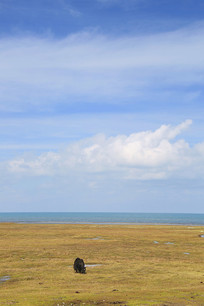 �ຣ������ţ