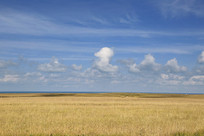 �ຣ������ݳ�