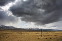 ѩɽ���²ݳ�