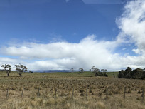 ����˽������