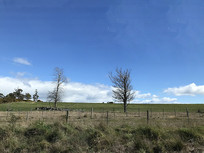 ����˽������