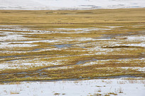 ��ԭ�ݵ�Ϫ��ѩ��