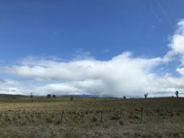 �����µĲ�ԭ