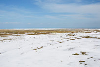 ����ѩ��