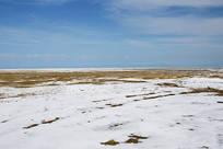 ����ѩ��