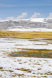 ����ɽѩɽ����