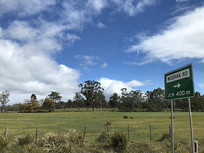 ���޲ݳ����