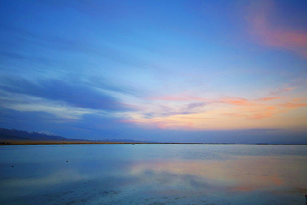 ���֮���迨�κ�ĺɫ��Ӱ