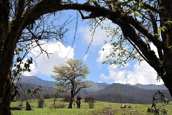 �Ŷ���ɽ�ĸ�ɽ����