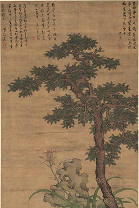 �� ���� �ﴻ��ͼ