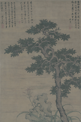 �� ���� �ﴻ��ͼ 