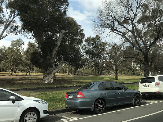 ī�����̵�