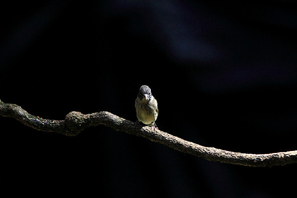 ���ȵ���ͨ��ȸ