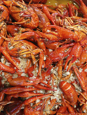 ����С��Ϻ