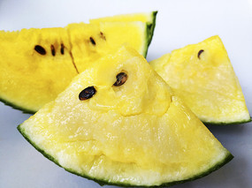 ��֭��ȿ����