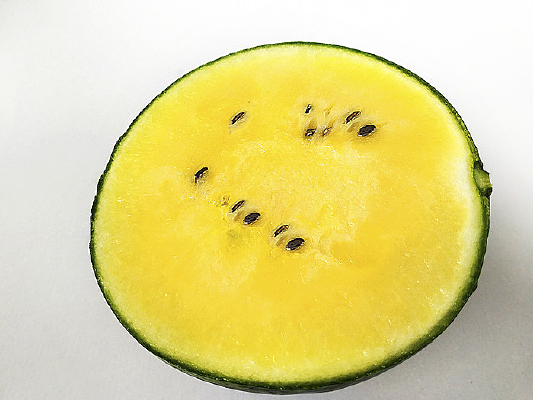 ��ȿ����