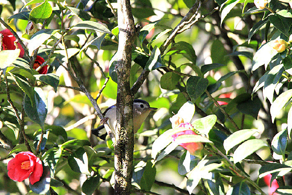 ���������ϣ��