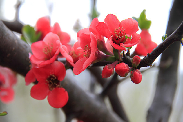 �����ϵ�ľ�ϻ�