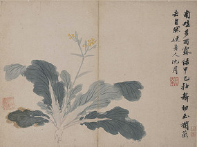 ����������ͼ��-�ײ˻�