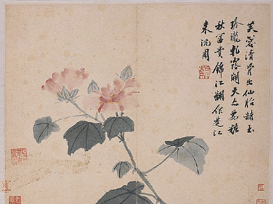 ����������ͼ�ᡪܽ�ػ�