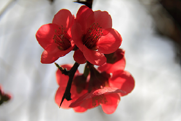 ŭ�ŵ�ľ�ϻ�