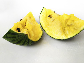 С�ʹ�����