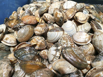 ���ʺ���