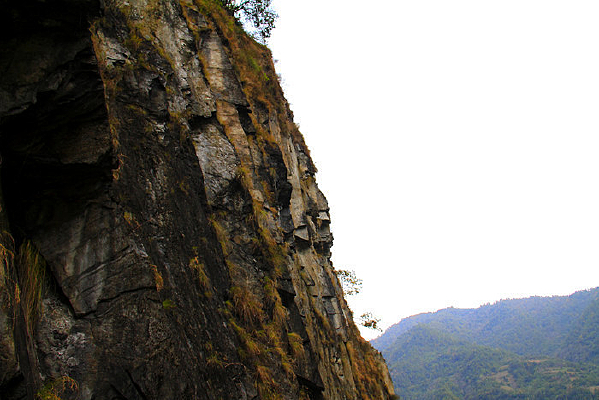 �������ͱ�