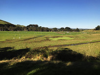 ��˹����������