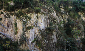 ��ˮ���ͱڷ��